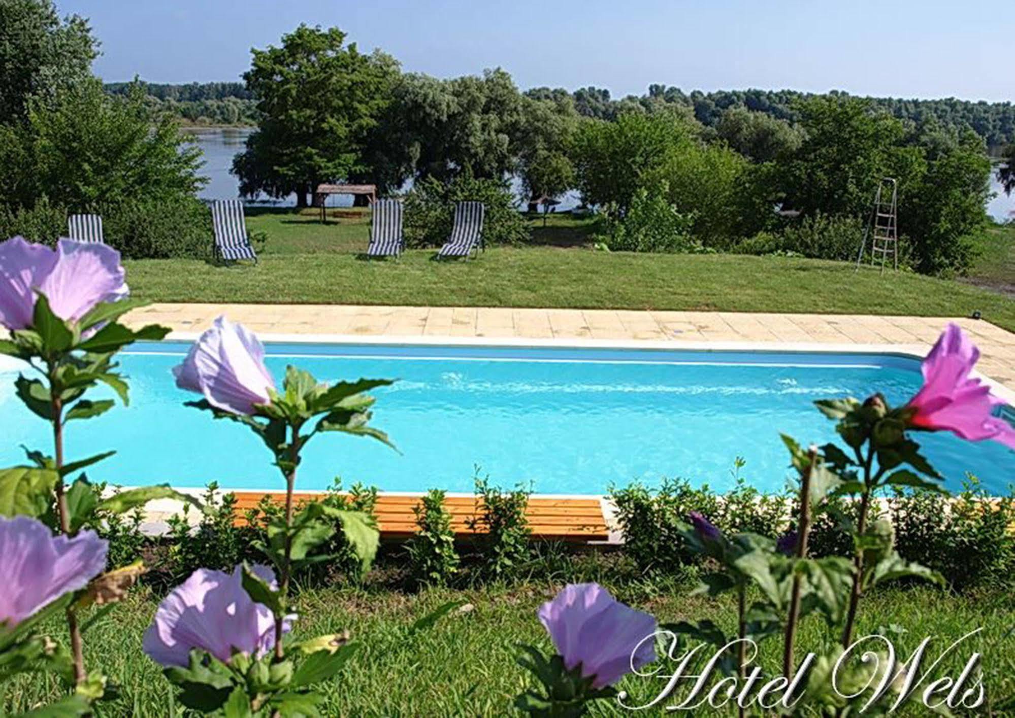 Hotel Wels Băltenii de Sus Eksteriør bilde